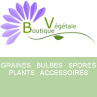 boutique-vegetale