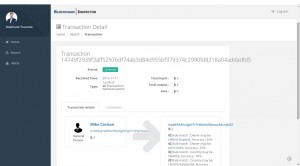 3 - transaction detail