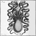 « Du Kraken et de l’imaginaire Bitcoin »