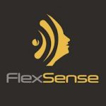 Flex Sense