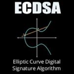 Le pari manqué de Nicolas T. Courtois