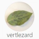 Vert Lézard adopte Bitcoin