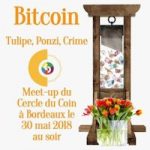 Bitcoin : Tulipe, Ponzi, Crime