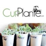 CupPlante