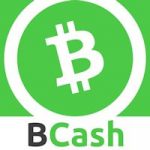 Bitcoin Cash dans la tourmente