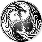 Le Yin et le Yang de Bitcoin