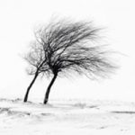 Dans les vents de l’hiver cryptographique