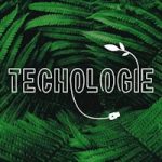 Techologie : « Les cryptomonnaies sont-elles réellement énergivores ? »