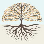 Déjà 80% de soutien pour Taproot