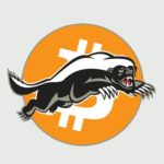 Le bitcoin à 53 000 euros