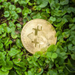 Le bitcoin et l’environnement : entre vérités, mensonges et perspectives