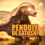 Pendule de Satoshi – Episode 8 – Tout ça n’est-ce pas juste de la spéculation en final ?