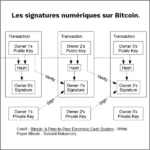 Découvre Bitcoin : Signatures numériques et courbes elliptiques