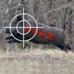 Les députés se prononceront en janvier sur un amendement imposant un agrément aux PSAN