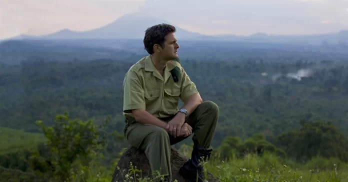 Gorilles milices et Bitcoin