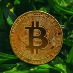 Bitcoin : une solution contre-intuitive au changement climatique