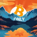 Bitcoin, une solution durable aux crises économiques ?