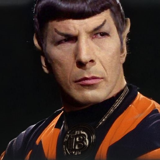 Bitcoin - Infinite Diversity in Infinite Combinations