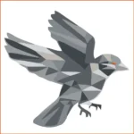 Tutoriel : Sparrow Wallet