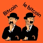Surfin’Bitcoin : Peut-on encore ignorer Bitcoin en 2024 ?