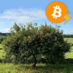 « Ain-Arbre, des Fruits » – Vente d’arbres fruitiers