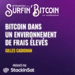 Bitcoin : Survie en temps de frais élevés