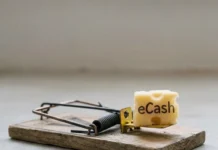 eCash : un cadeau dangereux ?